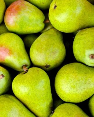 Jak zrobić stoisko na targach?