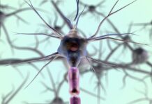 Co to znaczy sieć neuronowa?