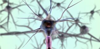 Co to znaczy sieć neuronowa?