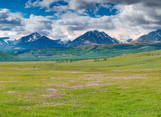 Czym się różni TM od r?