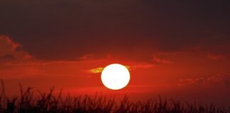 Jakie są narzędzia promocyjne?