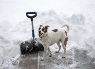 Na czym polega metoda pull?