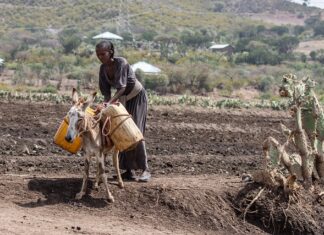 Czy Polska jest krajem rozwijającym się?