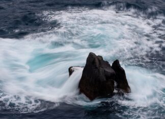 Jak ustalić cenę produktu?