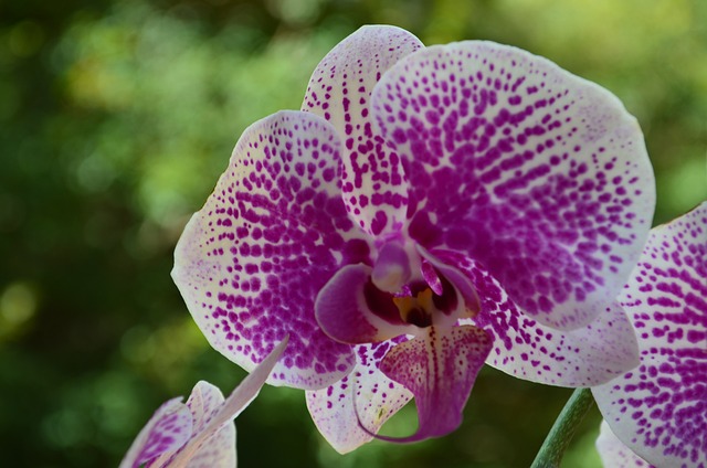 Co to znaczy jota? Co to znaczy jota?