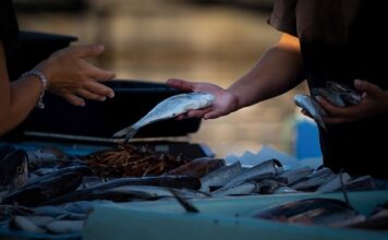 Jak sprzedawać towar za granicę?