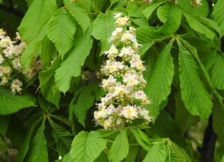 Czy da się zdać maturę bez nauki?