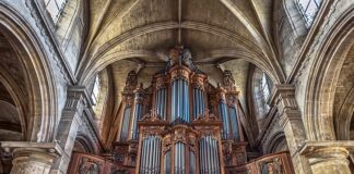 Jak się zarabia na LeadStar?