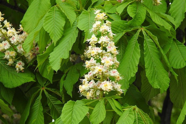 Jaka jest najcięższa matura? Jaka jest najcięższa matura?