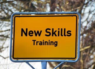 Gdzie wpisać praktyki zawodowe w CV?