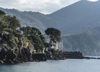 Ile kosztuje godzina pracy agencji reklamowej?