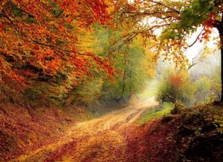 Co to jest rok budżetowy? Co to jest rok budżetowy?