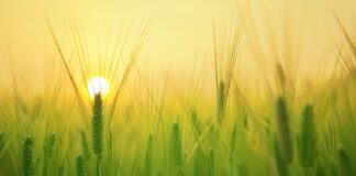 Na co wydajemy pieniądze w gospodarstwie domowym?