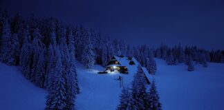 Jak znaleźć cel zawodowy?