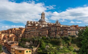 Co to jest plan rozwoju pracownika?