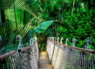 Ile trwa kurs na świadectwo kwalifikacji?