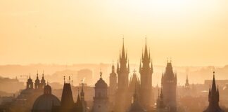 Na jakie cele wydawane są środki publiczne?