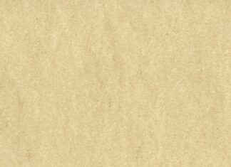 Ile kosztuje certyfikat C1?