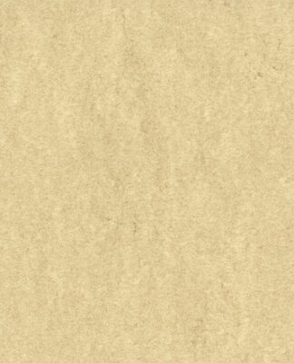 Jakie certyfikaty do IT?