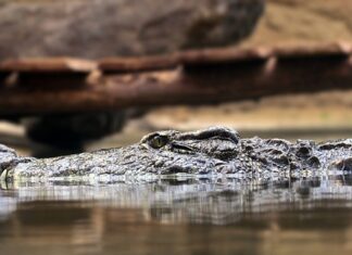Jakie są zasady planowania? Jakie są zasady planowania?