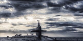 Jakie są jednostki sektora publicznego?